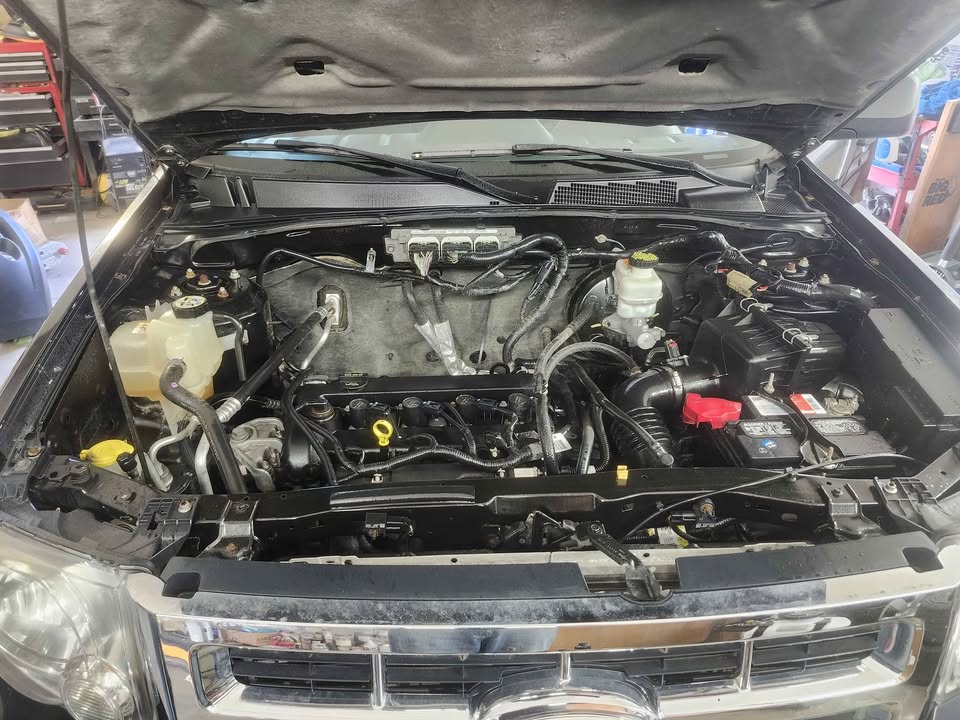 2011 FORD ESCAPE